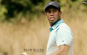 Tiger Woods